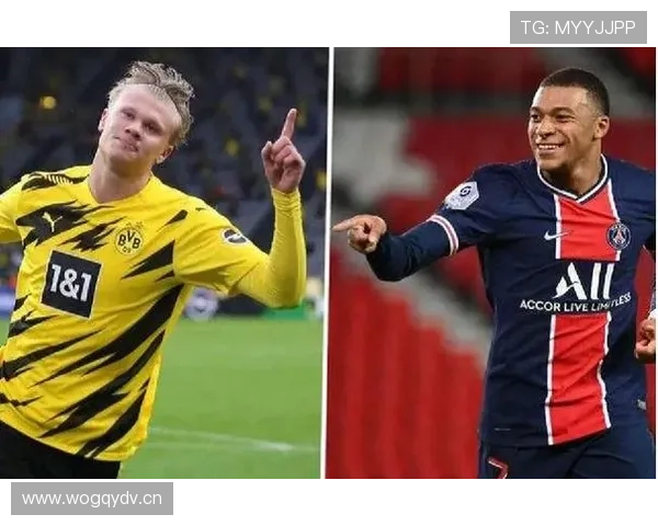 B费与德容：推进结构与参与度的核心差异