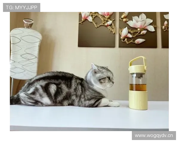 刘璇随手晒的那只茶杯都比我整套家具还讲究，尴尬得想删社交账号